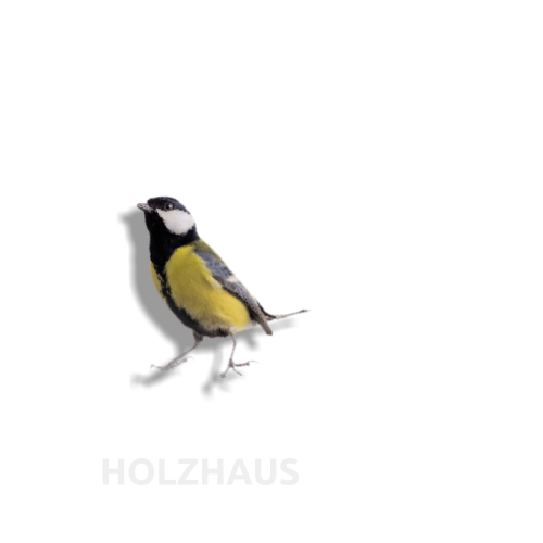 HOLZHAUS