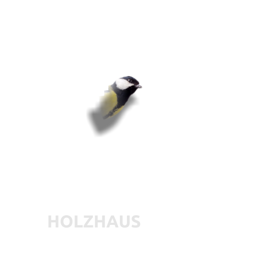 HOLZHAUS
