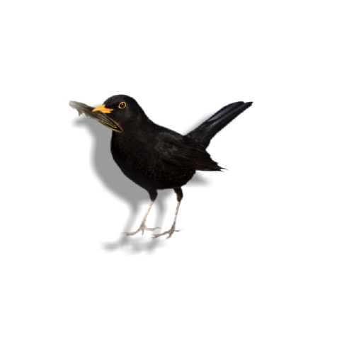 PASSIVHAUS