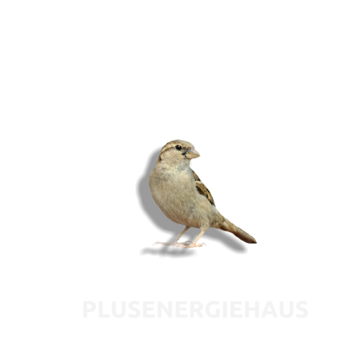 PLUSENERGIEHAUS