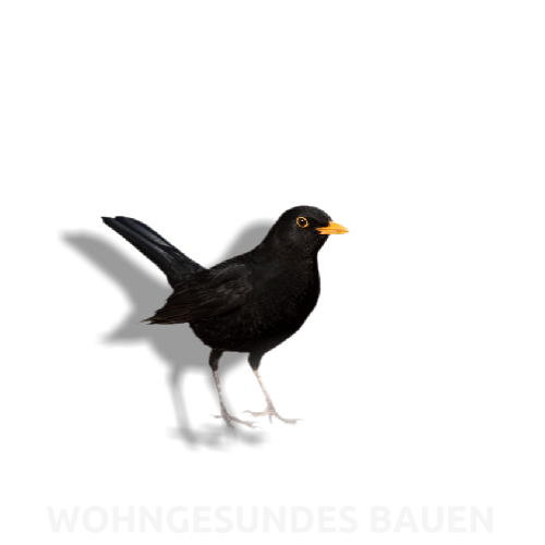 WOHNGESUNDES BAUEN