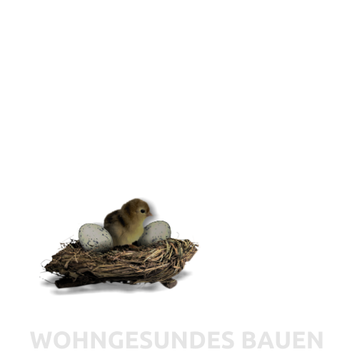 WOHNGESUNDES BAUEN